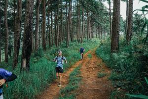 BIB: 
                            <button type="button" onclick="openModal(25659424)" class="btn btn-primary btn-sm float-right btn-popup" data-toggle="modal" data-target=".modal-high-quality">
                        <i class="fas fa-shopping-cart"></i> Add to Cart
                    </button>
                                            <button type="button" onclick="isThisMe(25659424, true)" class="btn btn-success btn-sm float-right btn-popup btn-isme hidden" data-toggle="tooltip" data-placement="bottom" title="นี่คือรูปของคุณใช่ไหม คลิกที่นี่เพื่อเอาเข้าอัลบั้ม">
                        <i class="fas fa-plus"></i> Add to album
                    </button>
                    <button type="button" onclick="isThisMe(25659424, false)" class="btn btn-warning btn-sm float-right btn-popup btn-isnotme hidden">
                        <i class="fas fa-ban"></i> Remove from album
                    </button>